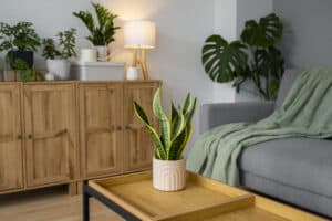 Interior Design με Εσωτερική Βλάστηση - Art deco Design Construction